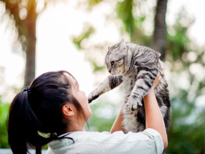 A imagem mostra uma mulher segurando um felino em meio à natureza.