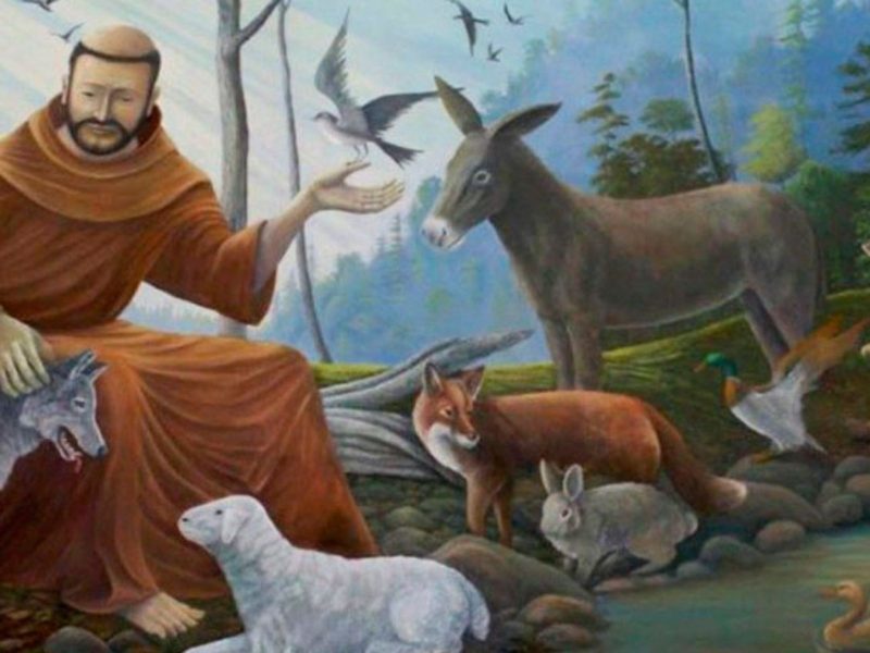 A imagem mostra um desenho de São Francisco de Assis com animais.