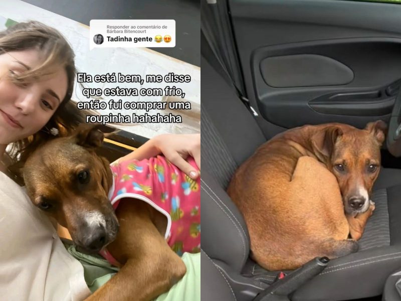 A imagem mostra uma cachorra e uma mulher dentro de um carro.