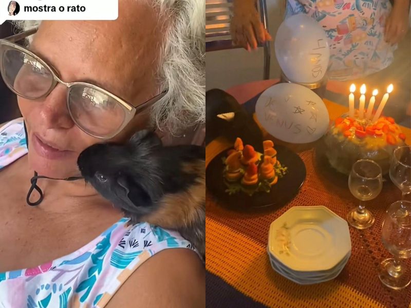 A imagem mostra uma mulher com um roedor e uma festa de aniversário do rato.