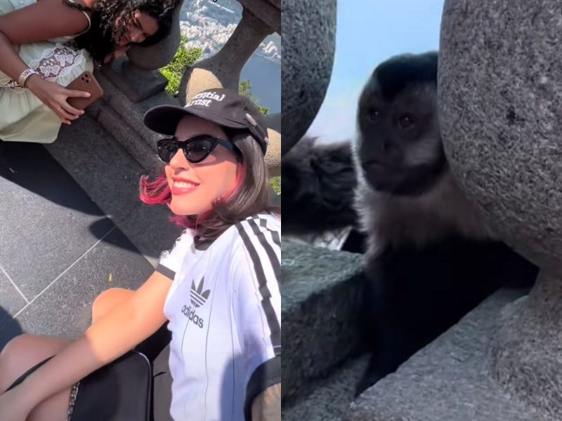 A imagem mostra duas meninas turistas e um macaco-prego.