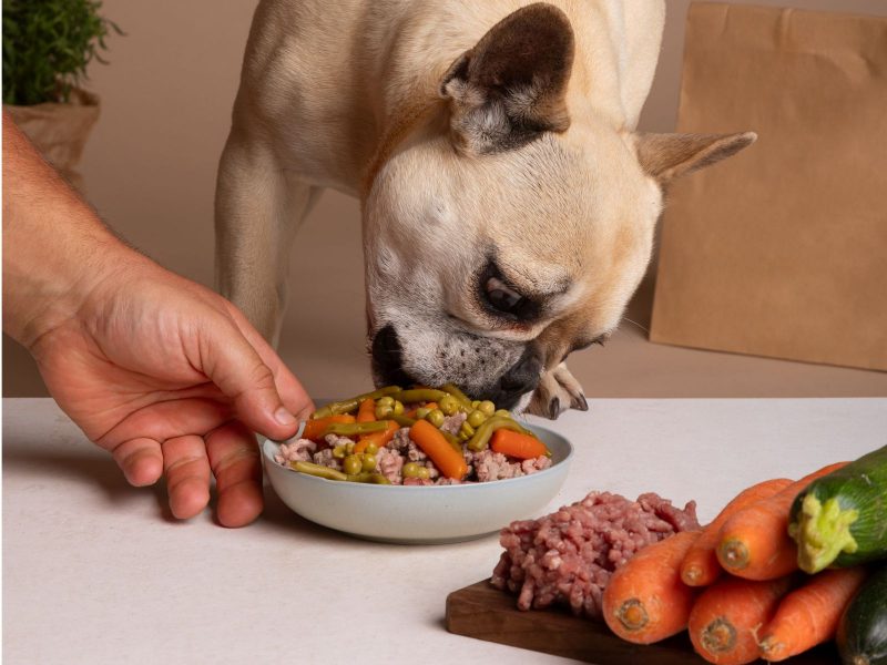 A imagem mostra um cachorro comendo um prato com carne, cenoura, ervilhas e vagem.