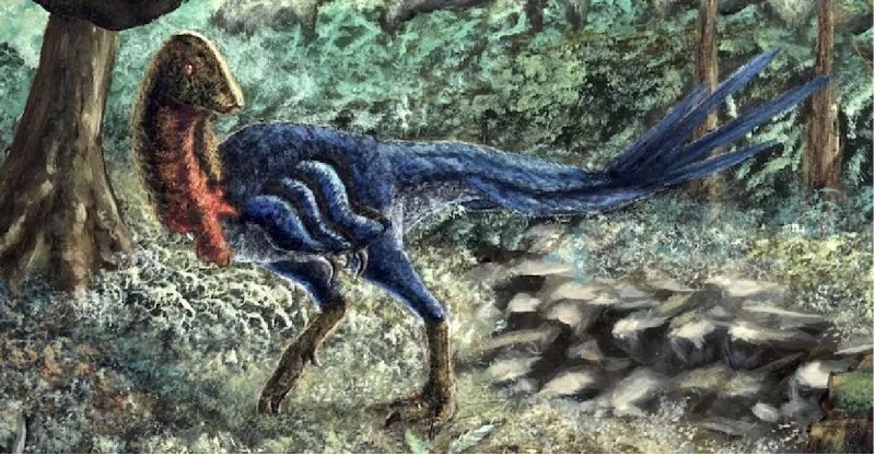 Nova espécie de dinossauro Nova espécie de dinossauro