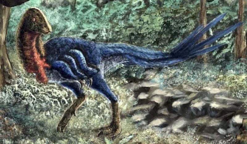 nova espécie de dinossauro se chama Eoneophron infernalis, foto mostra dinossauro com cauda que lembram penas, duas patas traseiras e patas fronteiras que lembram aspas