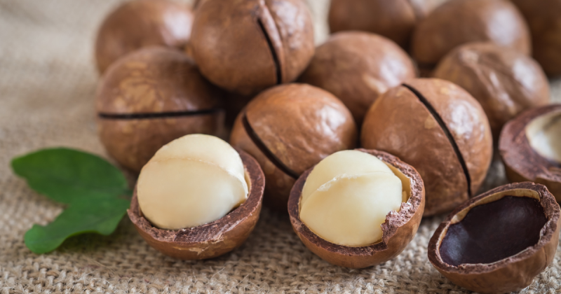 Nozes de macadâmia rica em colágeno, rica em colágeno natural