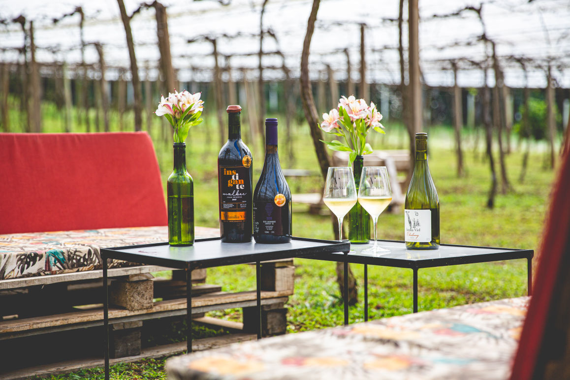 Wine bar Giordino Viel em meio aos parreirais - PMC/Divulgação