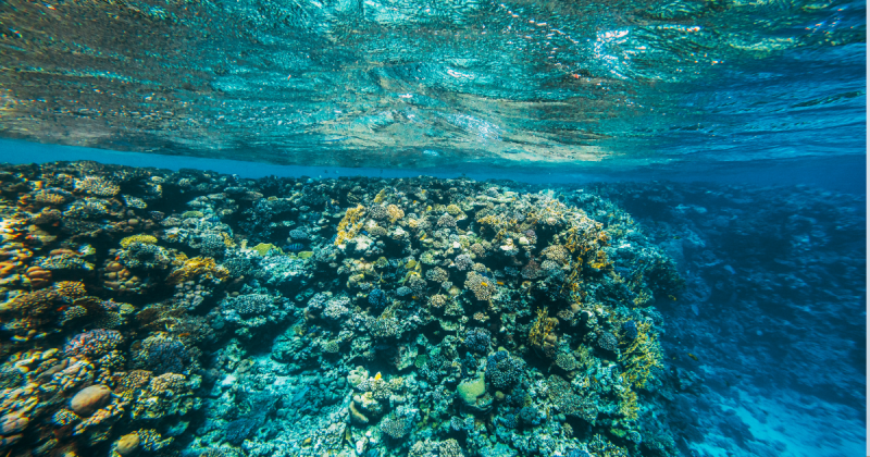 Sonhar com mar significado 