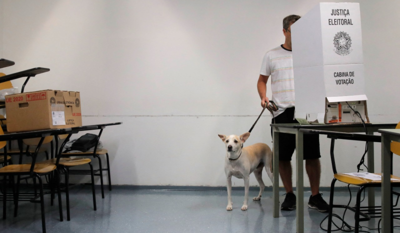 Eleitores que quiserem levar pets no dia da votação devem estar atentos às regras do local que irão votar - Foto: Caio Guatelli/AFP/Reprodução/ND