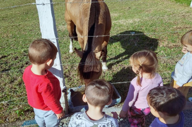 Foto dos alunos da professora Juliana com um cavalo