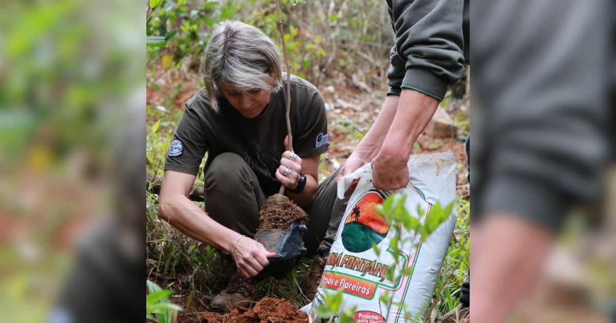 Primeira árvore já foi plantada - HSJosé/Divulgação