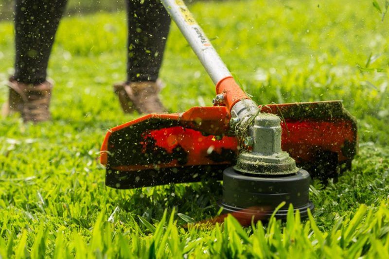 Homem tentou vender ro&ccedil;adeira por R$ 50,00. – Foto: Internet/ND