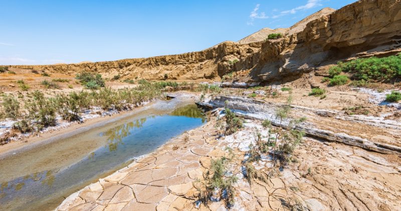 Rio em estado de seca e terra entrando em desertificação