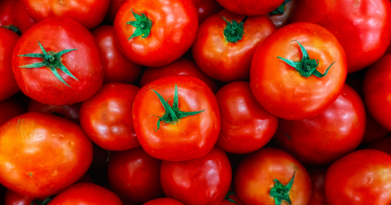 Tomate contém poucas calorias, além de ser rico em água e fibras- Foto: Canva/Divulgação/ND