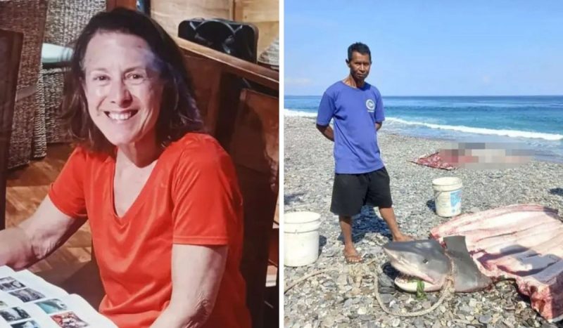 foto da esquerda mostra Colleen Monfore, turista desaparecida, sorrindo com blusa vermelha, foto da direita mostra pesquisador sério ao lado de tubarão morto, ele está sério e usa uma camiseta azul