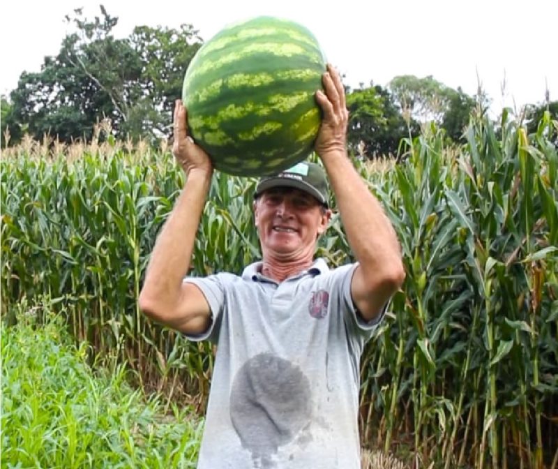 Foto do trabalhador rural segurando uma melancia que cultivou 