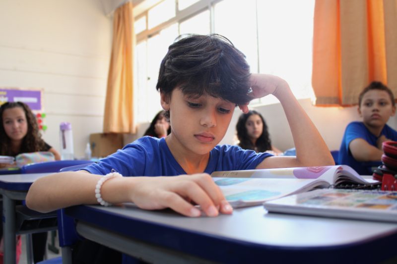 Aluno da rede estadual de ensino de Santa Catarina