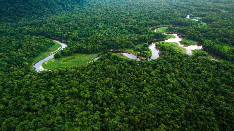 Cidade portuguesa perdida está escondida por floresta amazônica