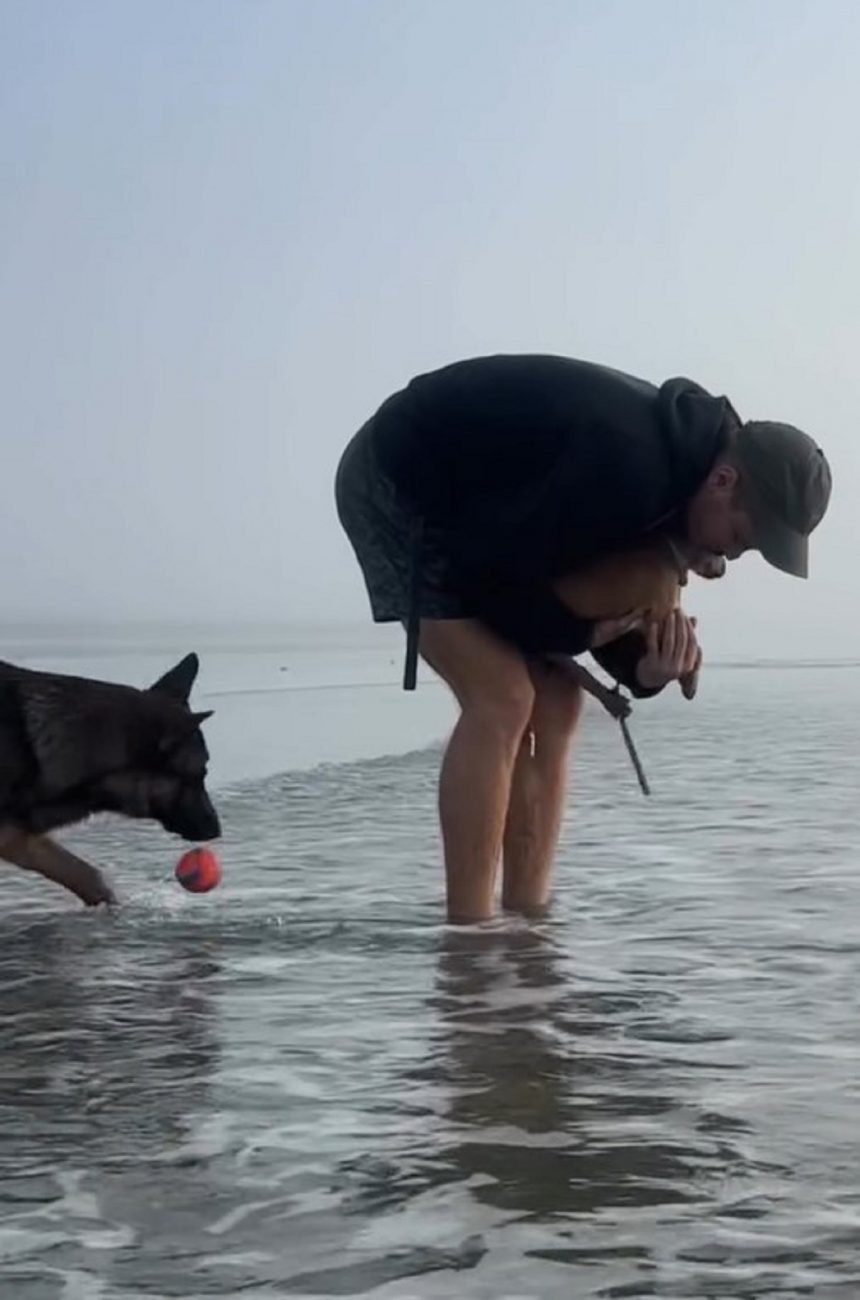 Inicialmente o pet ficou com medo da água - Cachorro-filhote-praia (3)