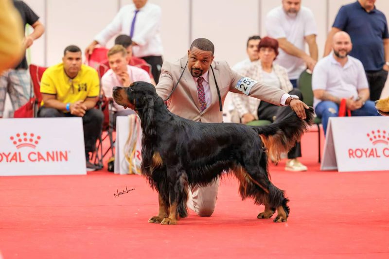 Treinador e o Grilo em uma competição 