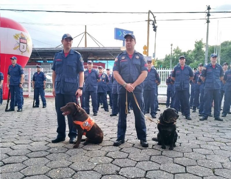 Binômios durante cerimônia de aposentadoria dos animais em SC