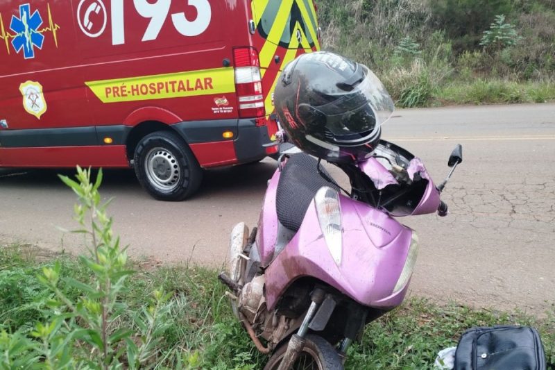 motociclista colidiu em capivara