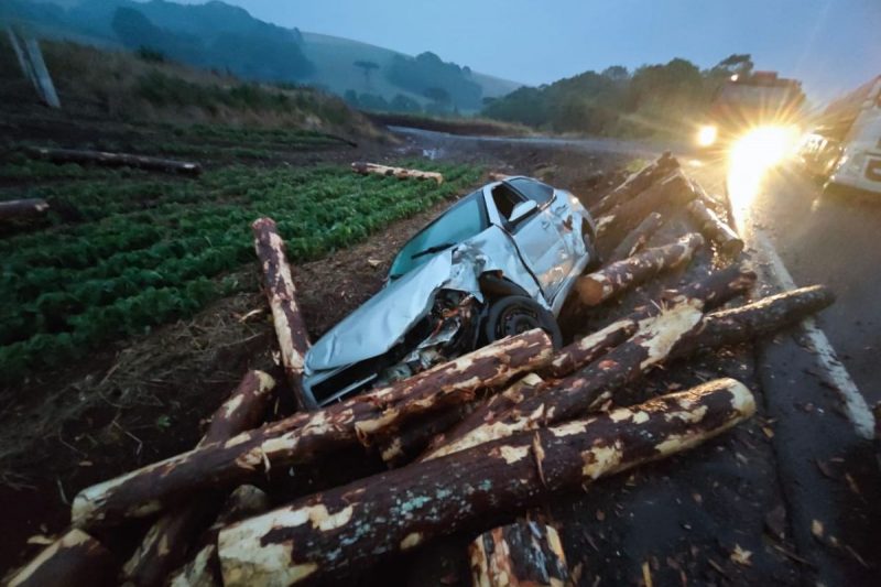 carga de toras de madeira espalhada pela rodovia e carro danificado após ser atingido