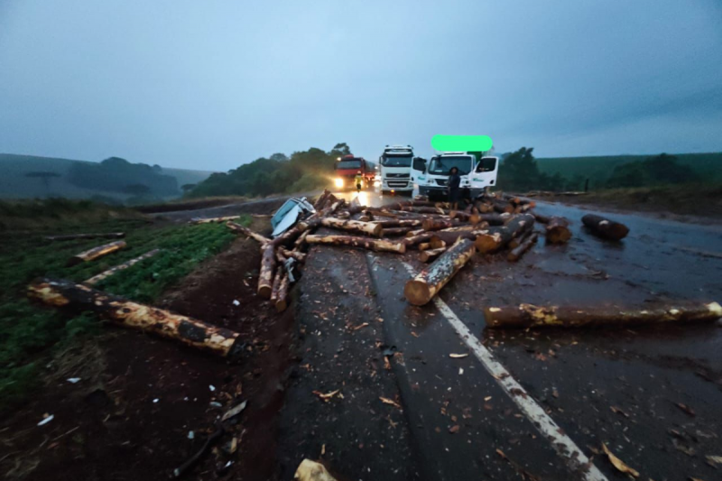 carga de toras de madeira espalhadas na rodovia