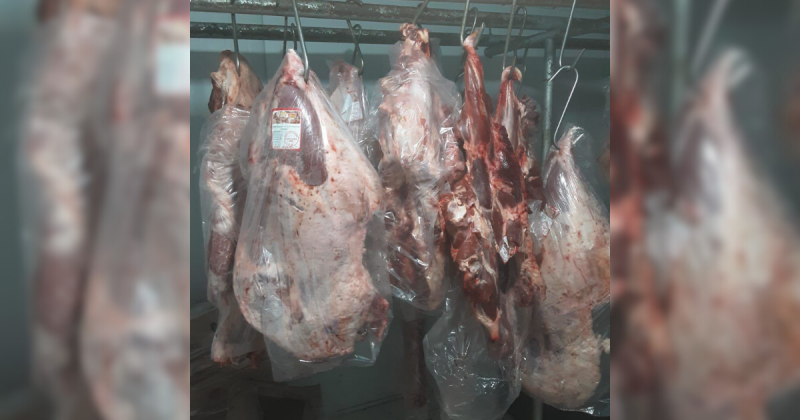 Carnes impróprias para consumo apreendidas