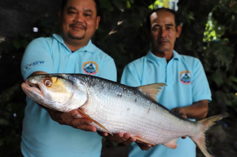 Dois homens segurando peixe gigante, conhecido como "fantasma de Mekong"