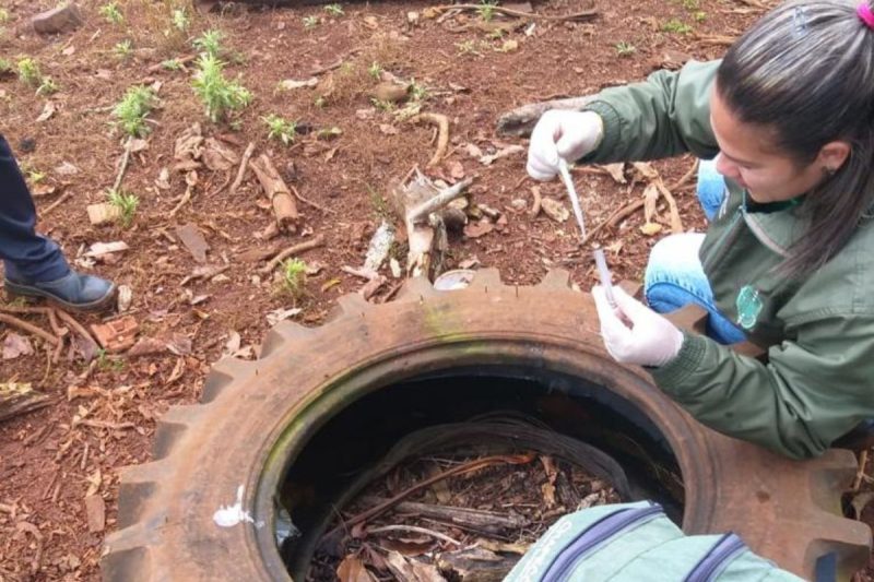 agentes recolhendo água parada de pneus