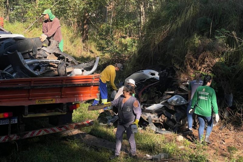 pessoas recolhendo lixos acumulados em um local de mata