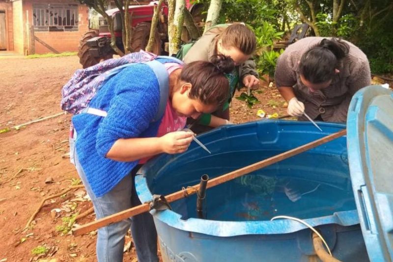 agentes de saúde olhando situação de água de uma caixa de água