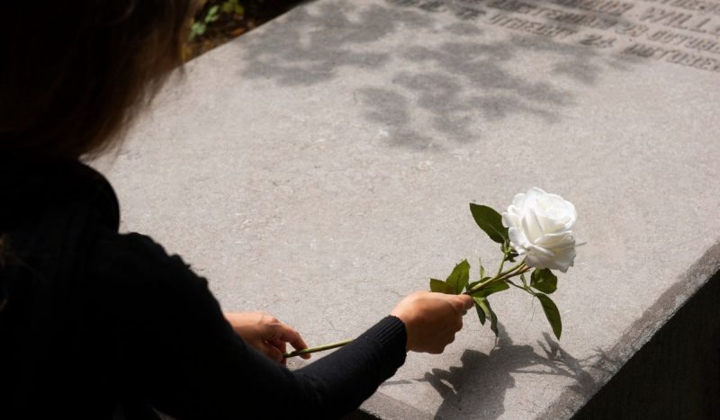 Prefeitura orienta que familiares evitem levar flores em vasos que possam acumular água - Foto: Freepik/ Reprodução/ ND