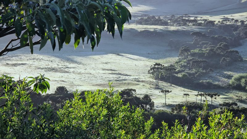 Imagem mostra geada em São Joaqui