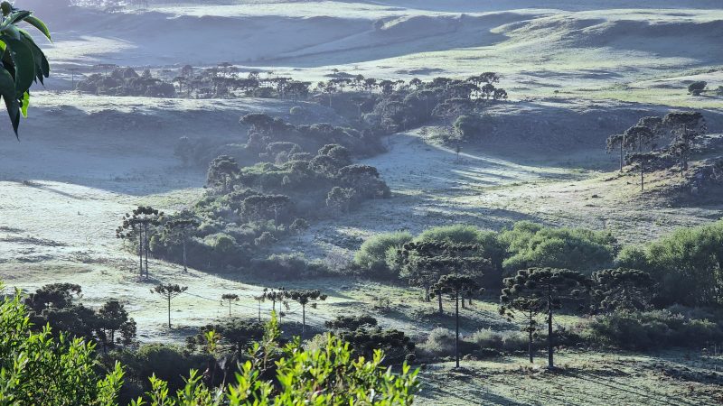 O Vale do Caminhos da Neve mais uma vez proporcionou um espetáculo típico das paisagens frias da região &#8211; Foto: Mycchel Legnaghi/São Joaquim Online/Divulgação/ND