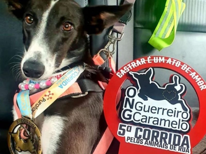 A imagem mostra um cão com o troféu e medalha da 5ª Corrida Pelos Animais de Rua.