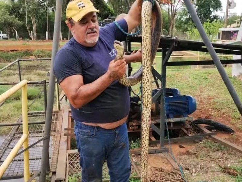 A imagem mostra um homem segurando uma sucuri, encontrada na tubulação de água.