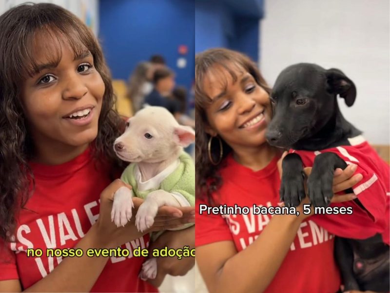 A imagem mostra uma voluntária com cães no colo.