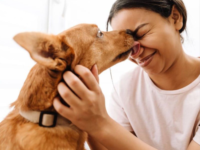 A imagem mostra um cachorro lambendo uma mulher.