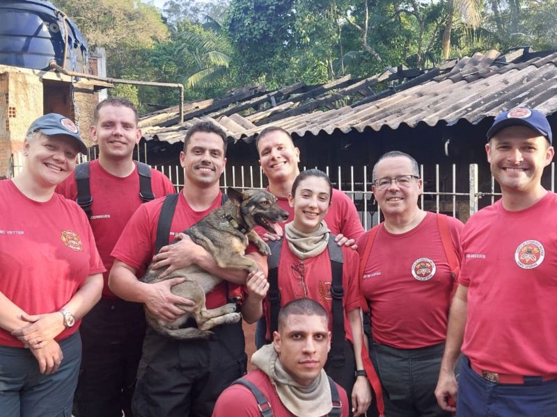 A imagem mostra o Corpo de Bombeiros Militar de Blumenau com o cachorro resgatado.