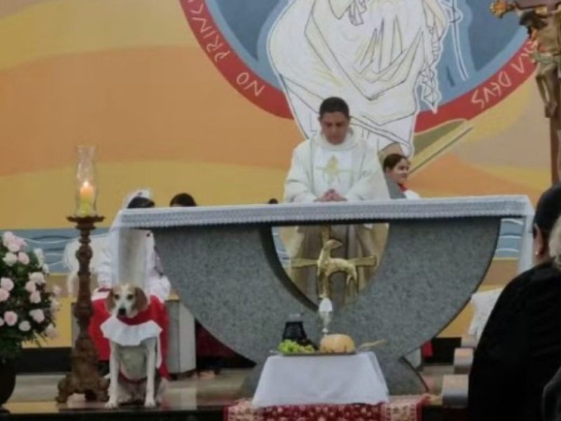 A imagem mostra o cachorro vestido de coroinha com o padre Luiz em uma missa.