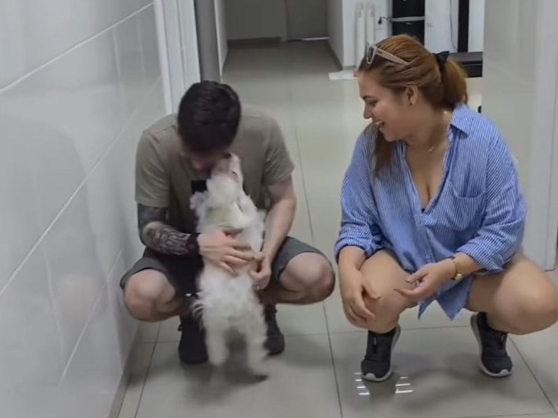 A imagem mostra o cão recuperado e seus tutores.