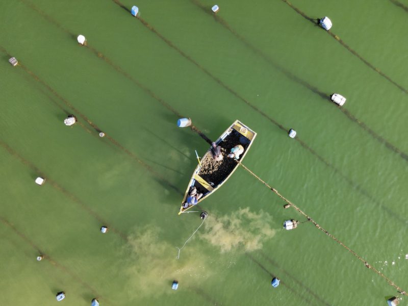 Foto mostra barco de maricultura visto de cima