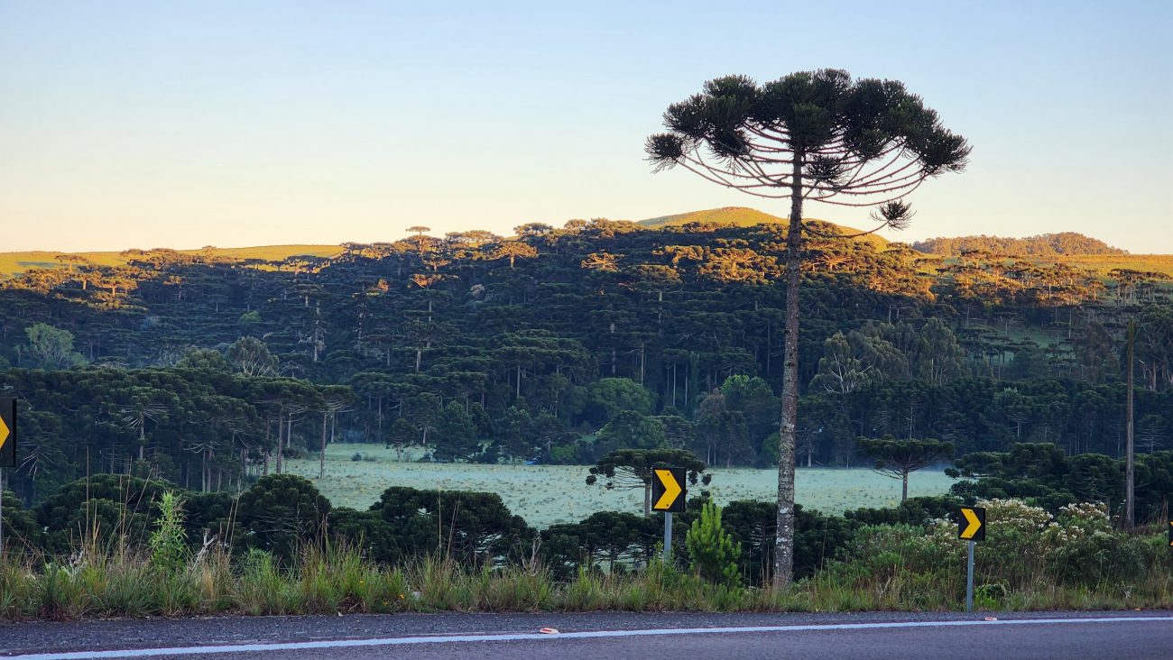 Paisagem encanta moradores e turistas na Serra - Wagner Urbano/ ND