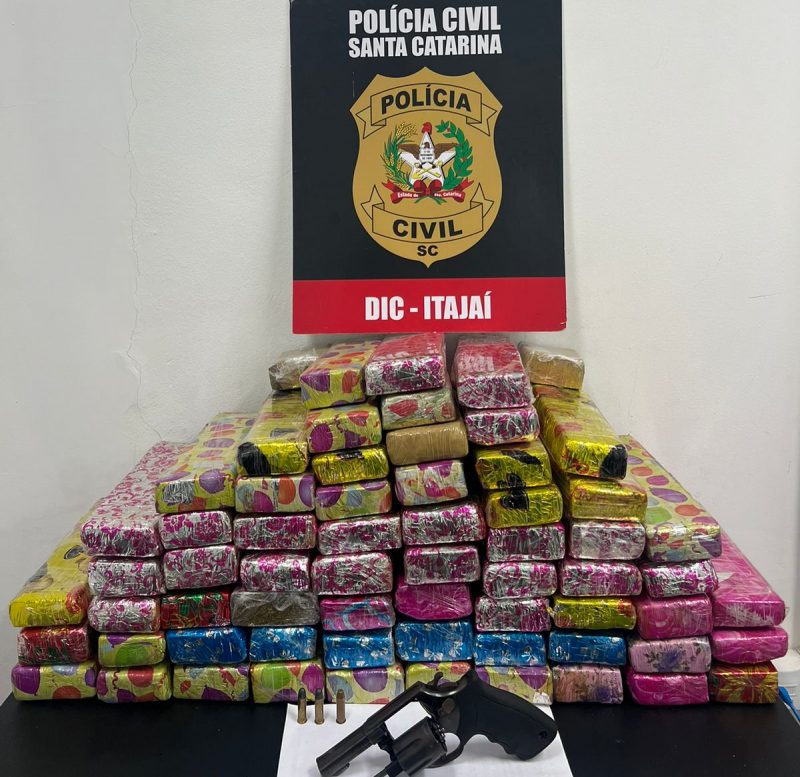 Foto mostra os 50kg de maconha apreendidos