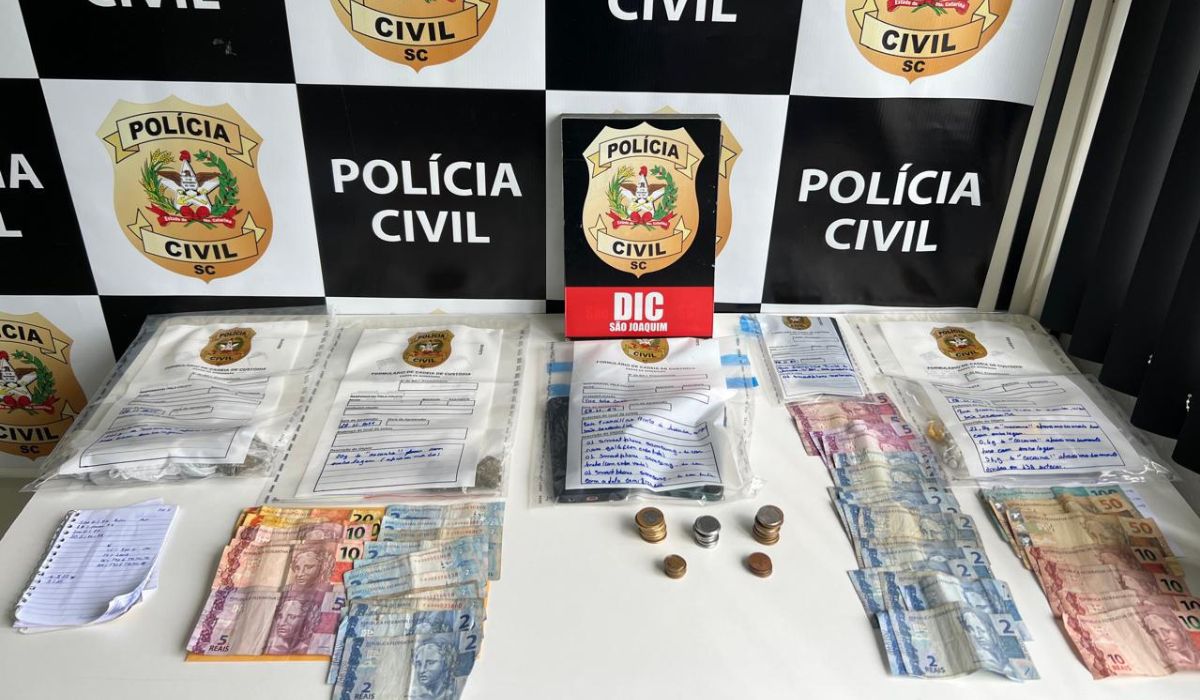 Apreensões evidenciam tráfico de drogas, aponta Polícia Civil - PCSC/Divulgação/ND