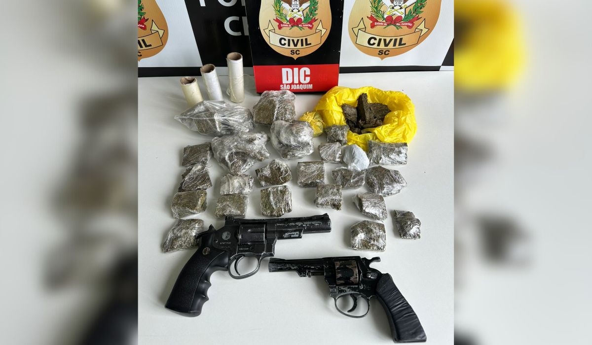 Policiais encontraram porções de maconha, cocaína e crack arrumadas para venda - PCSC/Divulgação/ND