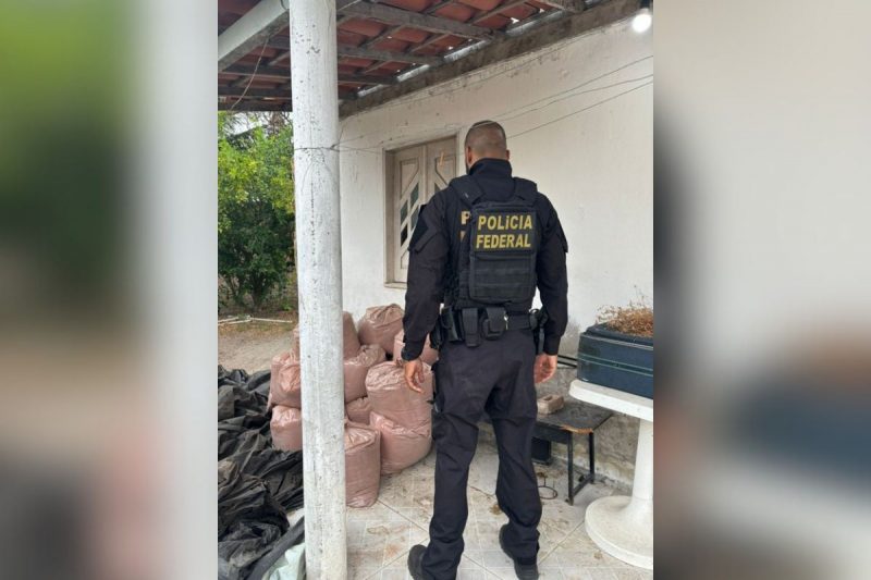 Operação Roots da Polícia Federal apreende toneladas de drogas