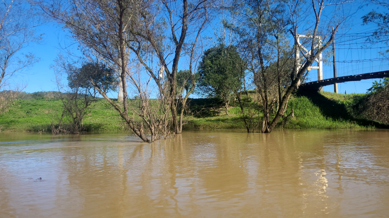 Rio Itajaí do Oeste com árvores sobre a água e ponte ao fundo