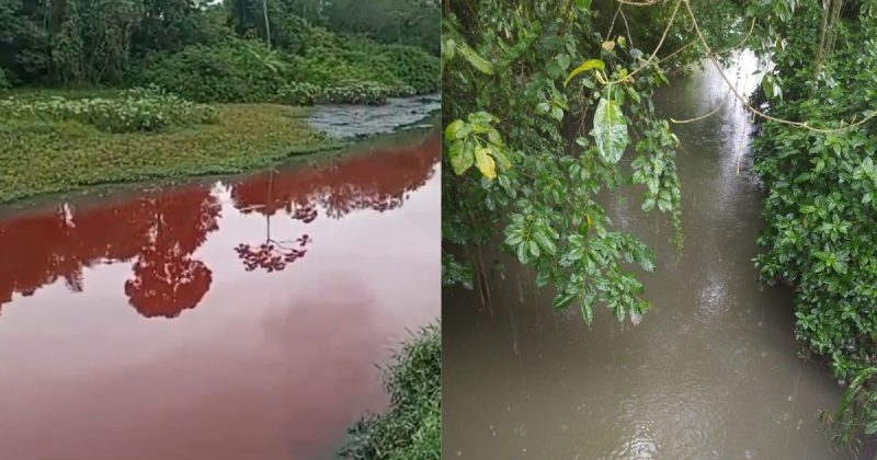 Rio vermelho em Joinville